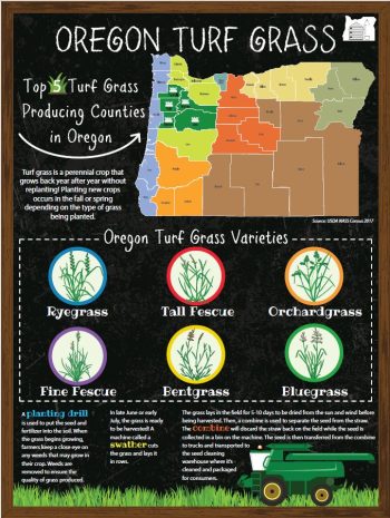 Order Classroom Poster for Oregon Grass