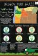 Order Classroom Poster for Oregon Grass