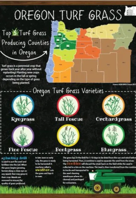 Order Classroom Poster for Oregon Grass